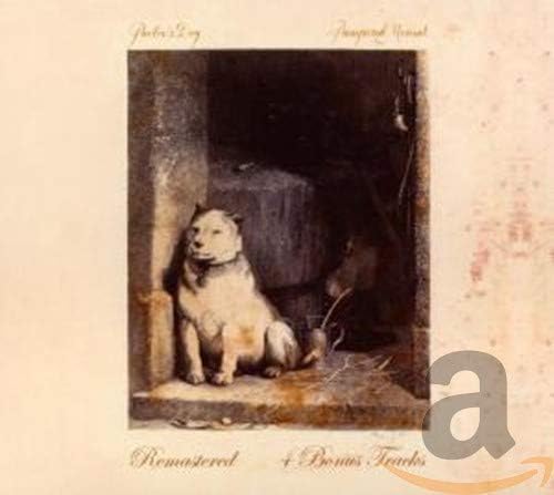 mixer audio rockville