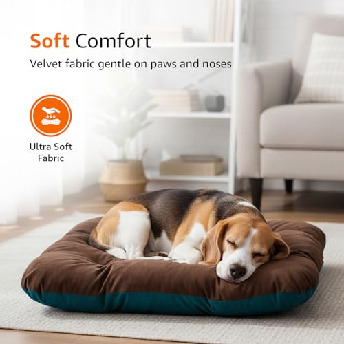 Image of Amazon Basics Pet Bed | Medium| Reversible Premium Velvet Pet Bed for Cats & Small /Medium Dogs (Pug, Beagle, French Bulldog) | Soft & Durable | Coffee & Light Blue | 72 x 72 x 7 cm