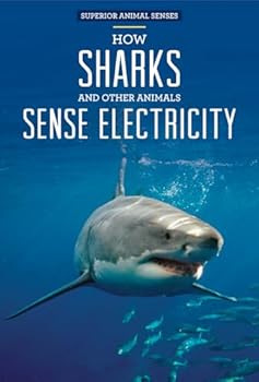Library Binding How Sharks and Other Animals Sense Electricity Book