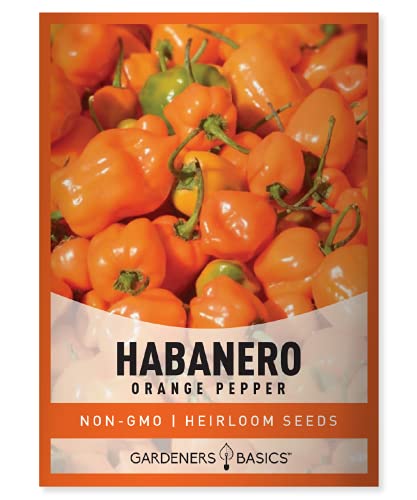 Gardeners Basics Orange Habanero Pepper Seeds for Planting Heirloom Non-GMO Hot Habanero Peppers Plant Seeds for Home Garden Vegetables Makes a Great Gift for Gardeners