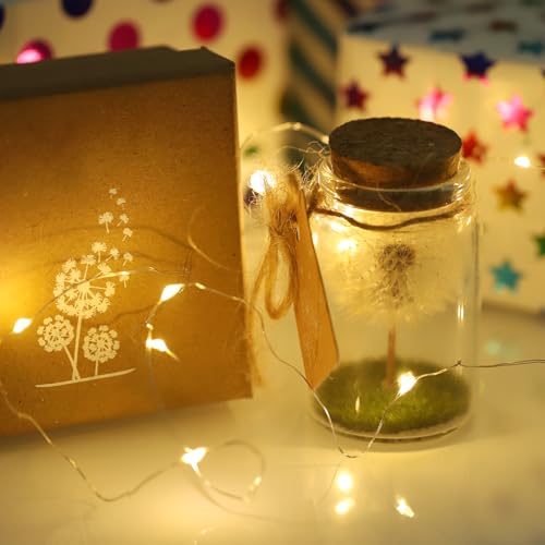 Miniatura 7 de Jizzu Verdadero Diente De León En Un Frasco, Regalo Amiga Originales Con Cordel De Luz, Cumpleaños Día San Valentín Boda Día Madre Regalos Navidad