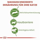 ROYAL CANIN Outdoor | 400 g | Trockenfutter für Katzen | Für ausgewachsene Katzen (vom 1. bis zum 7. Lebensjahr) mit häufigem Freilauf und regelmäßiger Bewegung
