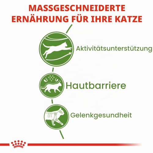 ROYAL CANIN Outdoor | 400 g | Trockenfutter für Katzen | Für ausgewachsene Katzen (vom 1. bis zum 7. Lebensjahr) mit häufigem Freilauf und regelmäßiger Bewegung