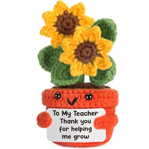 Teacher Back to School Christmas Appreciation Gifts Thank You Teacher