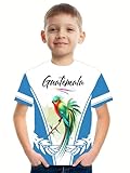 DFZ Guatemala Flag T-Shirt Boys Short Sleeve Crew Neck T-Shirt Guatemala for Children's Tops