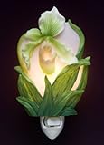Lady Slipper Orchid Night Light - Ibis & Orchid Flowers of Light Collection
