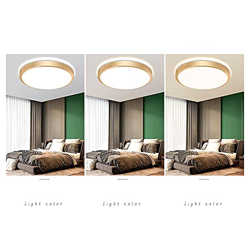 Lámpara de techo LED empuercada para techos bajos que elimina sombras en estancias 4