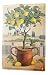 Tin Sign Gallery painter Franz Heigl Picture Still life lemon cypress fence landscape 20x30 cm metal shield Wall Art Deco decoration retro Advertising Vintage