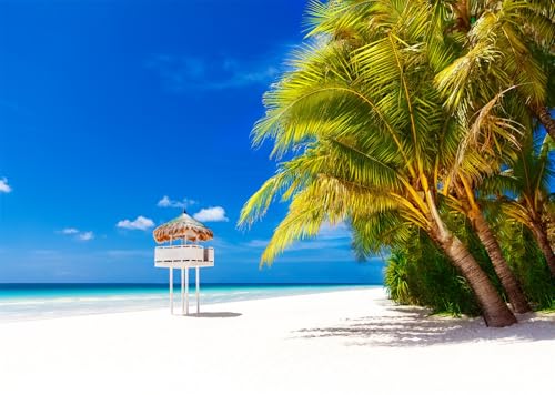 Arrière-plan photographique plage des Maldives avec cabane de sauveteur et cocotier