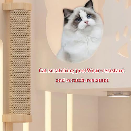 Enclos pour chat ventilé en bois massif Wit pour éviter le stress - 4