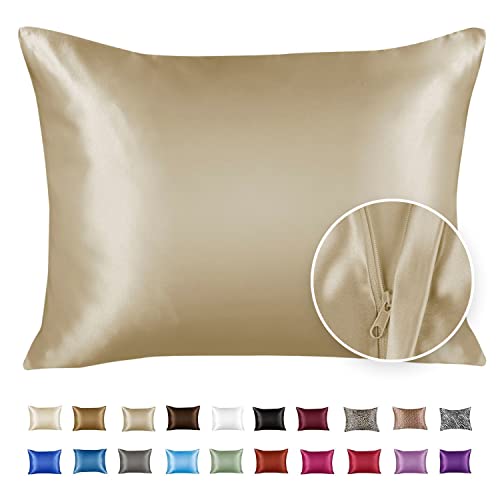 Image of BLISSFORD Luxury Satin Pillowcase for Hair - Queen Satin Pillowcase with Zipper, Champagne (1 per Pack)