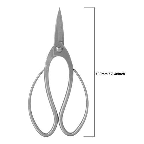 Tijeras para Bonsái de Acero Inoxidable 190mm miniatura 4