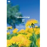virtual trip　花　Flowers　四季の山野草と高山植物 [DVD]