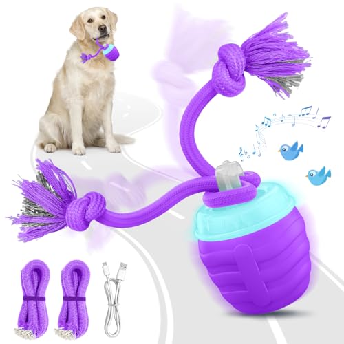 HVUATQインタラクティブ犬のおもちゃ - 2025のアップグレードされたモーション活性化されたボールのための中型/大型犬、自動移動する犬のおもちゃの退屈のための邪悪なボール、インタラクティブ犬のボール彼らを忙しく保つ(パープル)