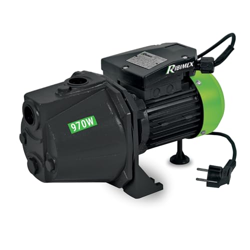 Ribimex Pompa di Superficie Autoadescante JET 101, Potenza 970W, Portata 2700 L/h, 4 Bar, Prevalenza...