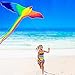 HENGDA KITE-Strong Phoenix for Kids & Adults, with Long Colorful Tail!Huge Beginner Colorful Rainbow Bird Phoenix Kites 74-Inch Come with String and Handle
