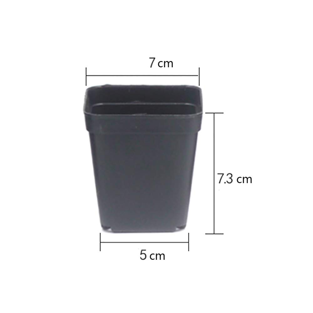 4 sottobicchieri da 30 x 30 cm, rettangolari in plastica, per
