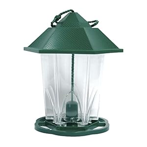 ICA B550 Comedero de Tolva para Pájaros