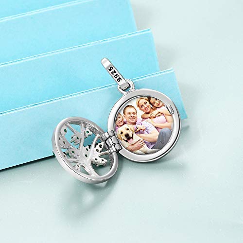 Bosajewel Personalised Rhodium Plated Locket Necklace That Holds Pictures Customised Photo Charm Tree Of Life Pendant Necklaces For Women Girls Engraving Text Memorise Keepsake Present #TOP5