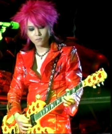 Hide