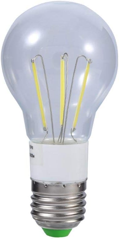 Riuty LED filament light bulb, new E27 12V 3W / 4W / 6W Cool/Warm White COB 360 ° non dimmable light (1 pieces)(6W Warm White)
