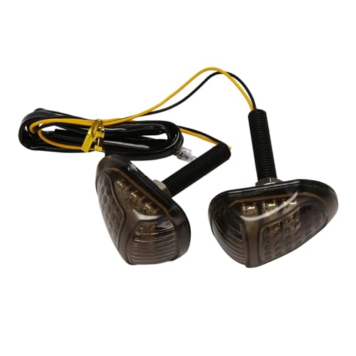 Clignotant LED moto 12V à forte luminosité MSX 125 - 6