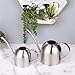 IMEEA Small Watering Can for Indoor Plants Stainless Steel Bonsai Watering can Mini Metal (15oz/450ml)