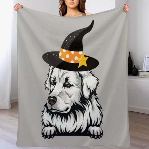 Plaid Halloween pour chat et petit chien idéal pour le canapé