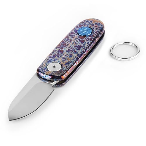 Tibitdeer Titanium Key Chain Knife, Multifunctional Keychain with Lightning Pattern Heavy Duty Car Key Chains Organizer for Men and Women