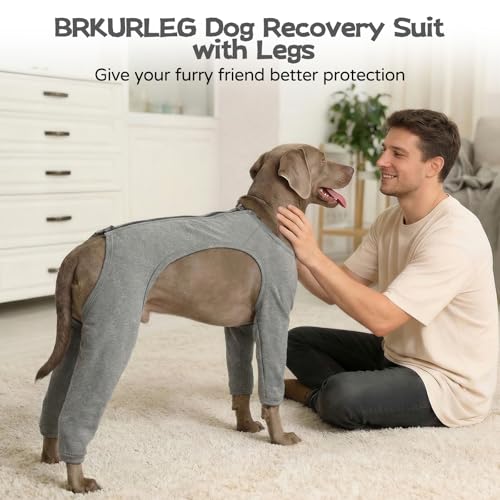 Image of BRKURLEG 4-Leg Dog Recovery Suit, Anti-Licking Surgical Onesie, Grey XL