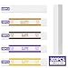 300pcs Currency Straps for Cash Management，4 Colors Self Adhesive Money Wrappers for Bills，Money Band Bill Wrappers for Banks, Businesses, and Home