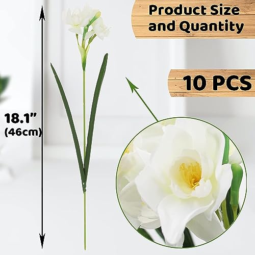 Eyamumo Modern Glass Vase With 10Pcs Artificial Daffodil Flowers For Home Decor, 8 Inch Clear Glass Vase 15.8 Inch Narcissus Spring Flower Artificial Daffodil Flower In Bulk For Home Kitchen Wedding Decor thumb #2