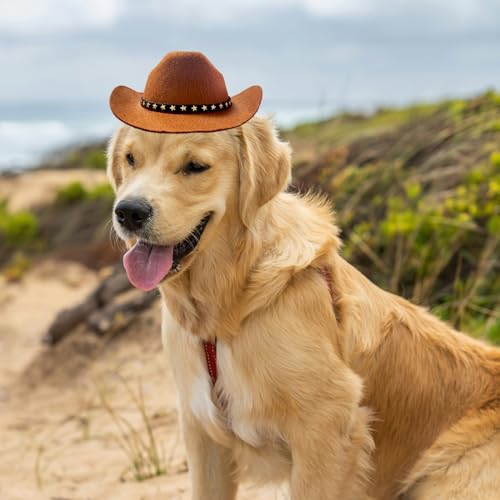 AWOCAN Dog Cowboy Hat Cat Cowboy Hat Pet Cowboy Costume Mini Cowboy Hat for Dogs Cat Holiday Halloween Pet Party Decoration (Brown, Large)