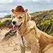 AWOCAN Dog Cowboy Hat Cat Cowboy Hat Pet Cowboy Costume Mini Cowboy Hat for Dogs Cat Holiday Halloween Pet Party Decoration (Brown, Large)