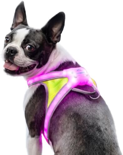noxgear LightHound Light Up Reflective Dog Harness, Medium