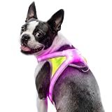 noxgear LightHound Light Up Reflective Dog Harness, Medium
