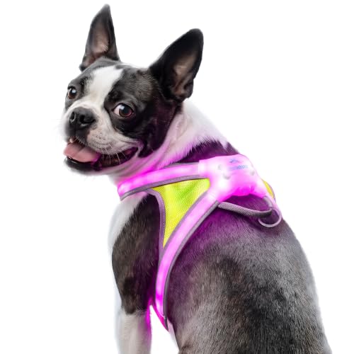 Noxgear LightHound Illuminated Harness