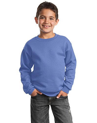 Port & Company Youth Core Fleece Crewneck Sweatshirt Carolina Blue Small