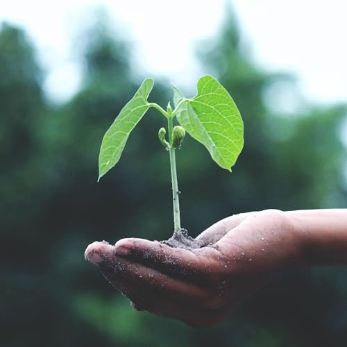 Life Is What You Make It