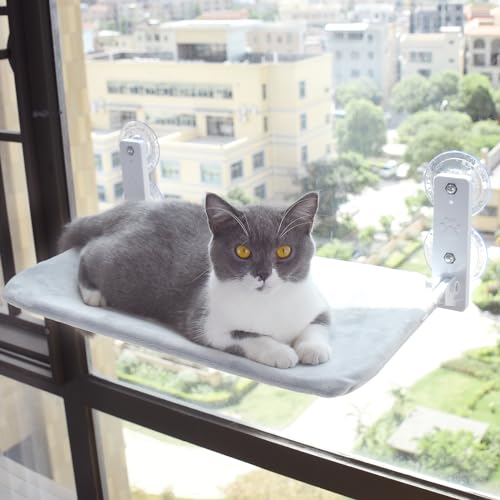 LpzՎnbN ybg Lpxbhy2025NŐV^K̔Xz Lpi p xe   JVE V  ό o lGʂđΉ\ ω׏d15KG 52×30cm ^TCY tȒP 肵 z  O