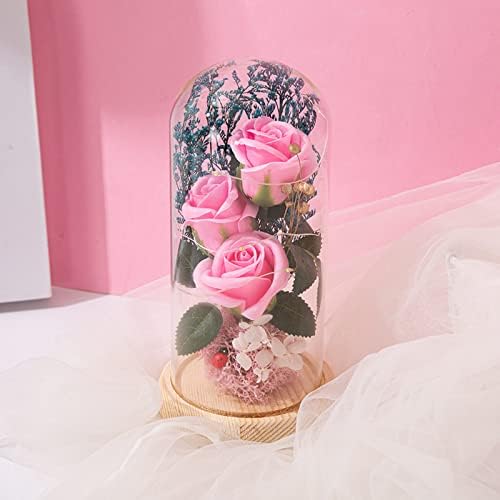 Resszo Beauty and The Beast Rose Lamp In the Glass Dome, Eternal Rose Artificial Flower with LED Light, Infinity Rose, Gift for Women Girl for Birthday Valentine's Day Mother's Day Anniversary