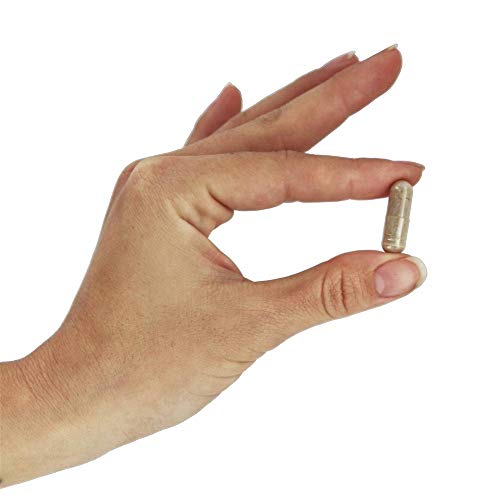 Própolis Now Foods 1.500 mg 100 cápsulas