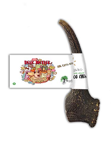Bio Mordiscos Mordedor de asta de Ciervo para Perros  100% Natural (XXL)