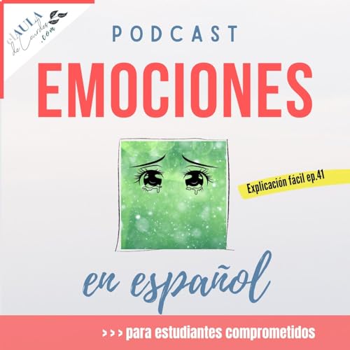 41bis Significado de 'aglomeracion, inventario y obsesionarse'