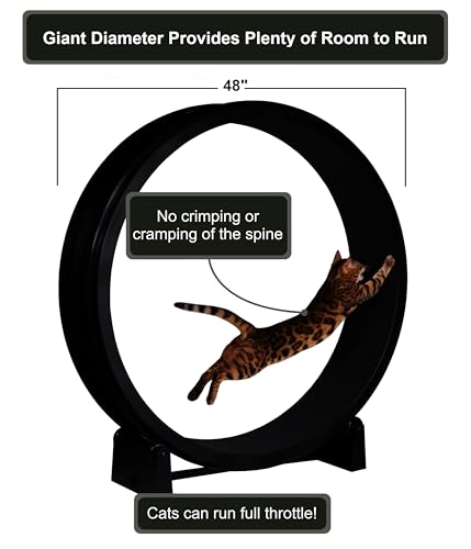 Image of One Fast Cat - Cat Exercise Wheel - Gen. 7 - Safe 48 inch Diameter - Made in The USA - Black Wheel with Black Felt Traction Pads and Solid Inline Wheels