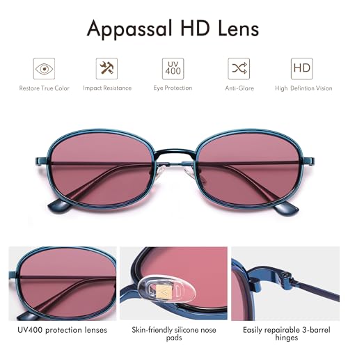 Retro Oval Sunglasses for Women Men Trendy Large Round Y2k Sunnies AP3681