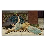 Cuadro Lienzo al óleo Famosa John William Godward (Dolce Far Niente) Reproducción Impresión en Lienzo. Cuadro de arte de pared de lienzo para decoración del hogar 30x50cm sin marco