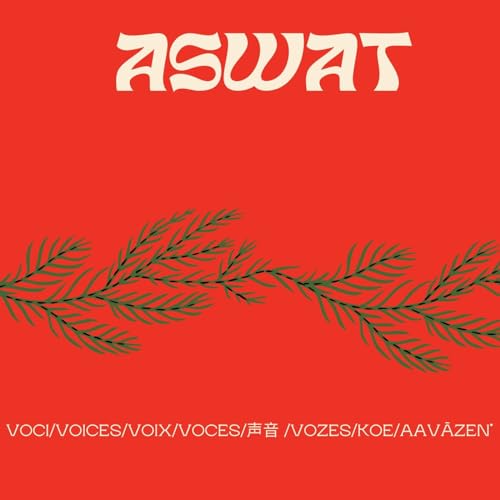 『Aswat -』のカバーアート