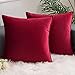 AHAHA Confezione da 2 Federe Cuscini Divano Copricuscini Decorativi Federe in Velluto per Camera da Letto Casa e Auto 45X45cm Vino Rosso