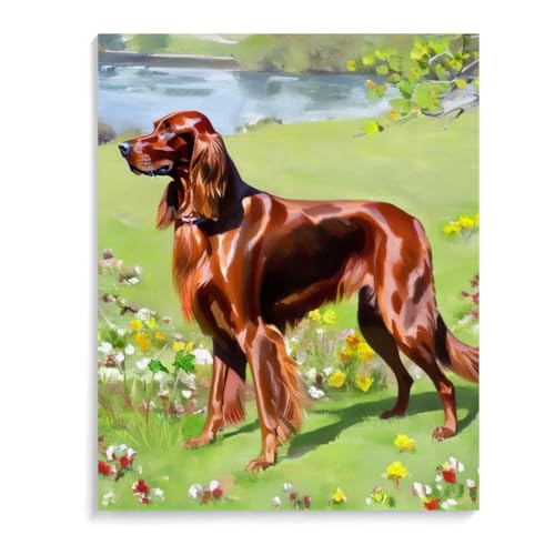 DIY Paint by Numbers Irish Setter Dog on Canvas Painting Kits for Adult, Beginner Oil Painting Kits Gift 20x24inch(50x60cm) Frameless
